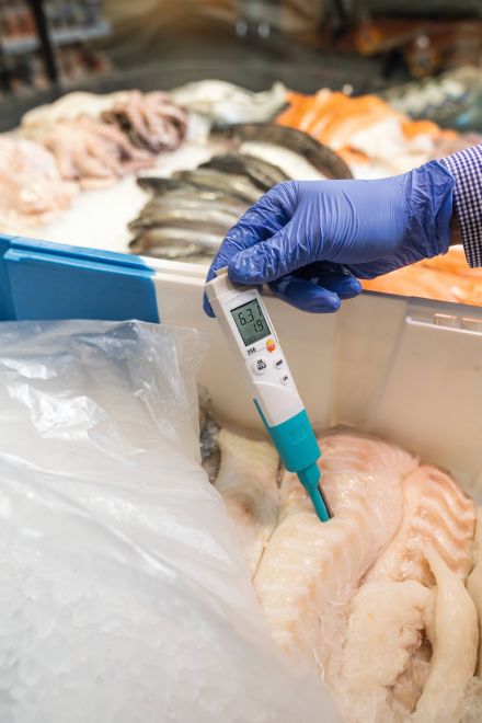 Testo 206 PH tester (losse meter)